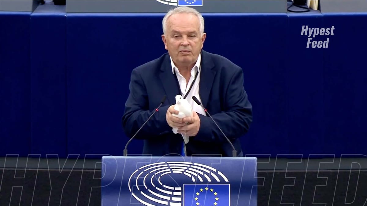 MEP releases white dove in European Parliament, sparking debate on symbolism.