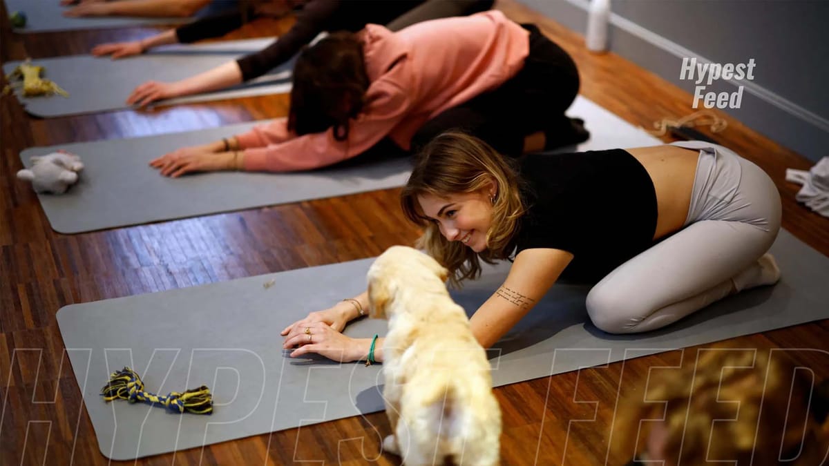 "Italy Bans Puppy Yoga Classes Over Welfare Concerns"